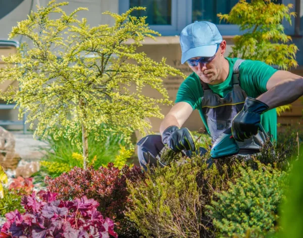 5201669c47f7ec7c909e9568c17c8a9d473bfc5c